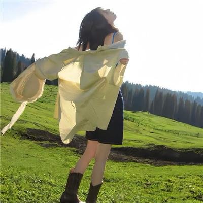 齐姆与友